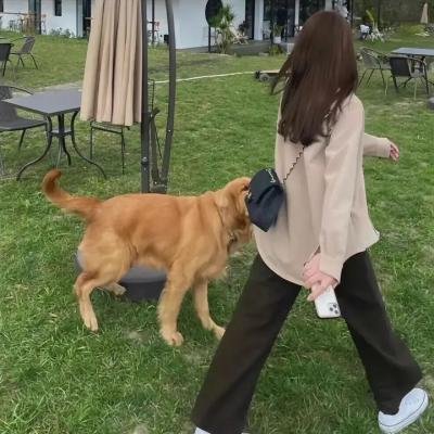 纳瓦荷